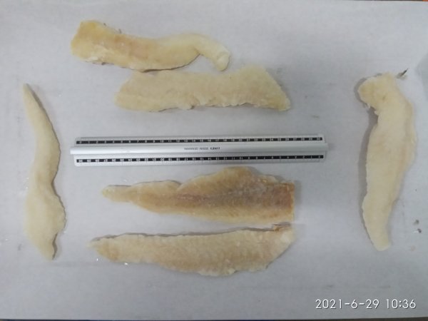 Catfish portions