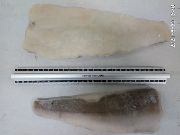 Hake fillet skin-on