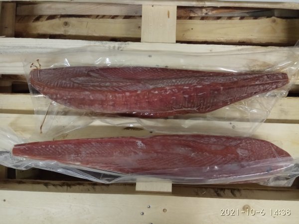 Tuna loin skinless