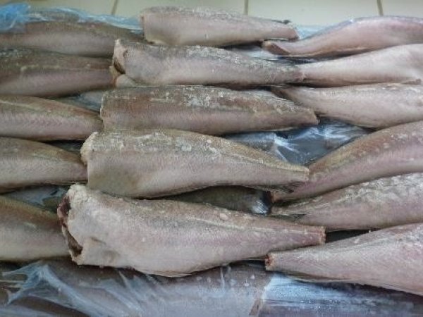Hake