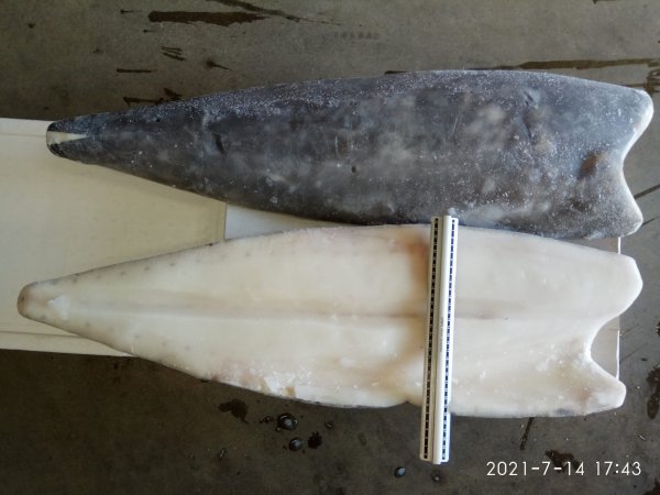 Võikala filee nahaga